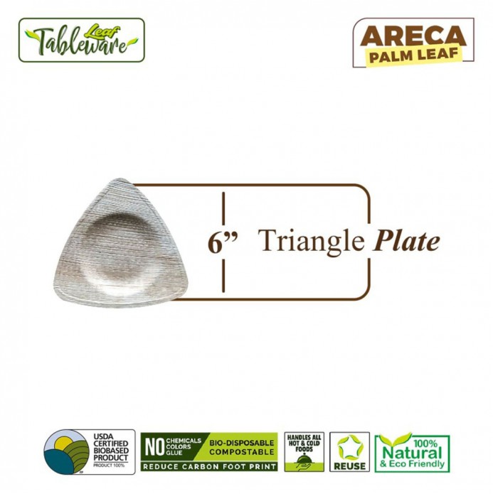 6" Triangle Appetizer Plate